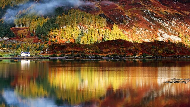 Cottage by Autumn Lake — Yellow, Serene