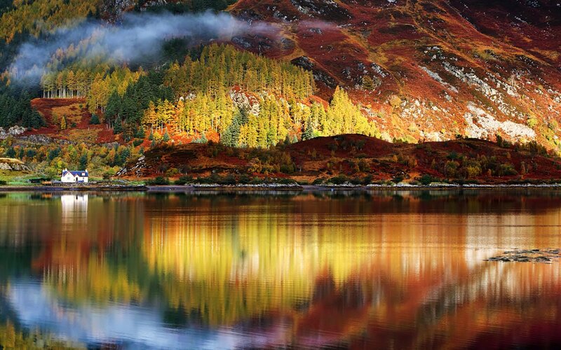 Cottage by Autumn Lake — Yellow