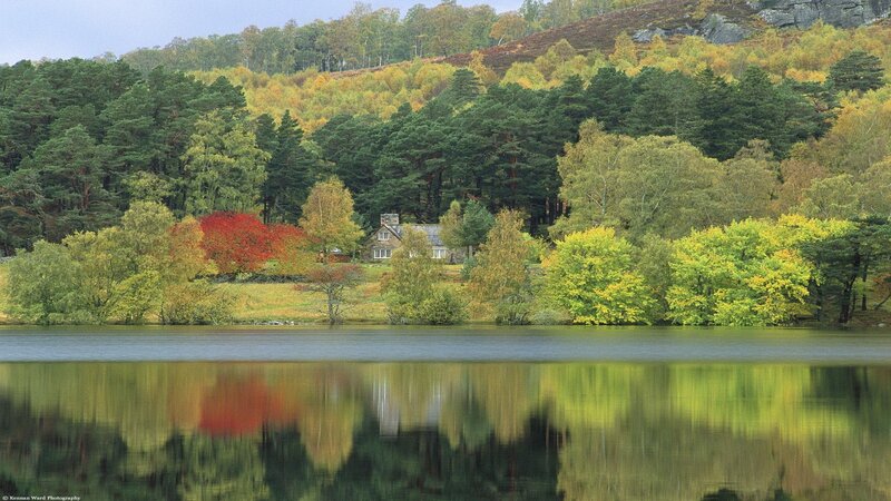 Cottage by Lake — Green, Serene, Autumn, Photograph