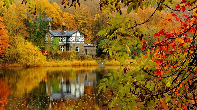 Cottage by Lake — Orange, Serene, Autumn