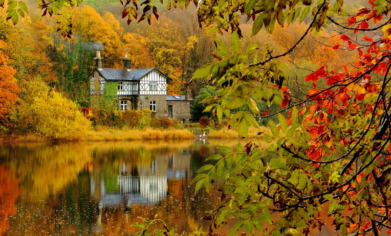 Cottage by Lake — Orange, Serene