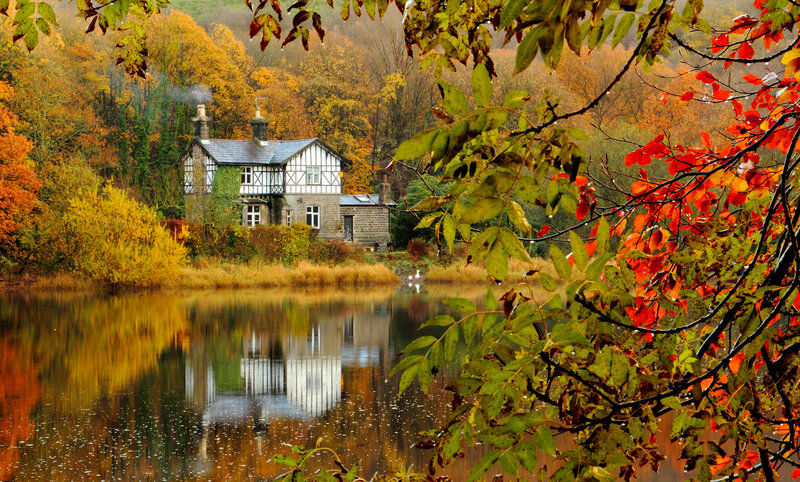 Cottage by Lake — Orange
