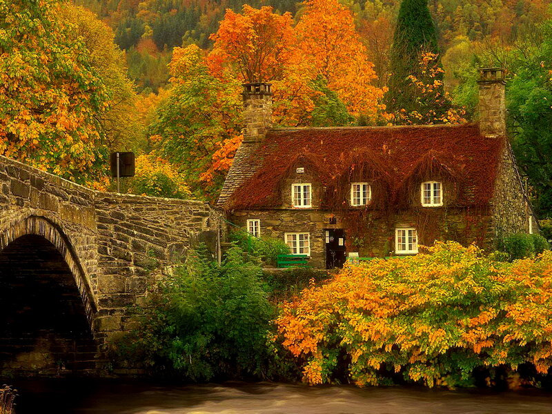 Cottage by River — Orange, Serene