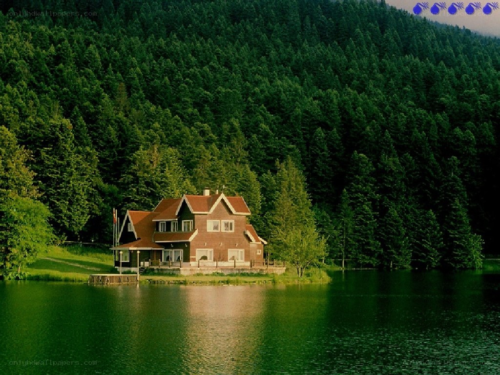 Cottage by the lake