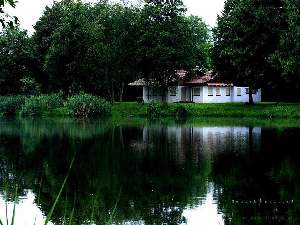 Cottage by the lake