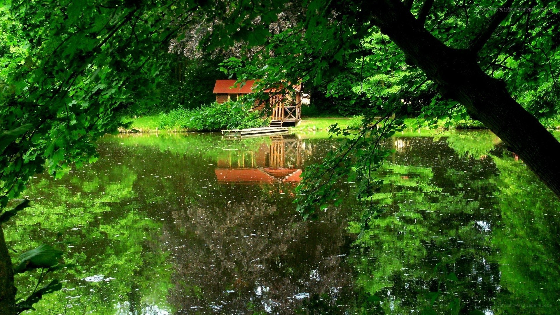 Cottage by the lake