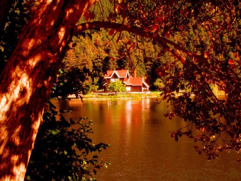 Cottage by the lake in autumn