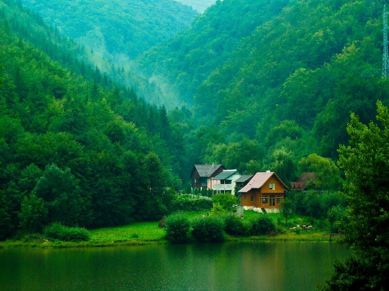 Cottage by the lake in forest