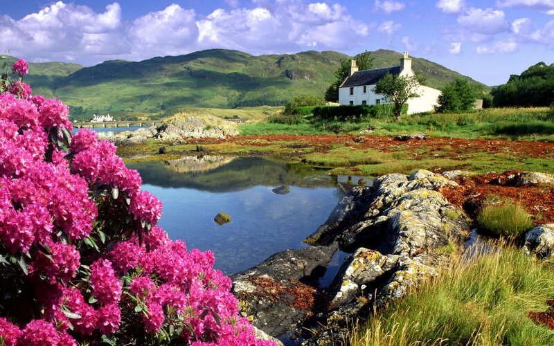 Cottage by the Loch with Rhododendrons