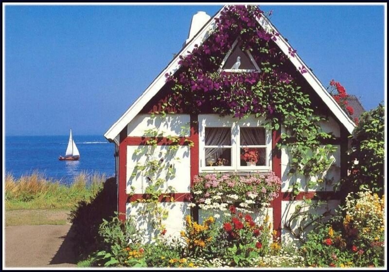 Cottage by the Sea — White