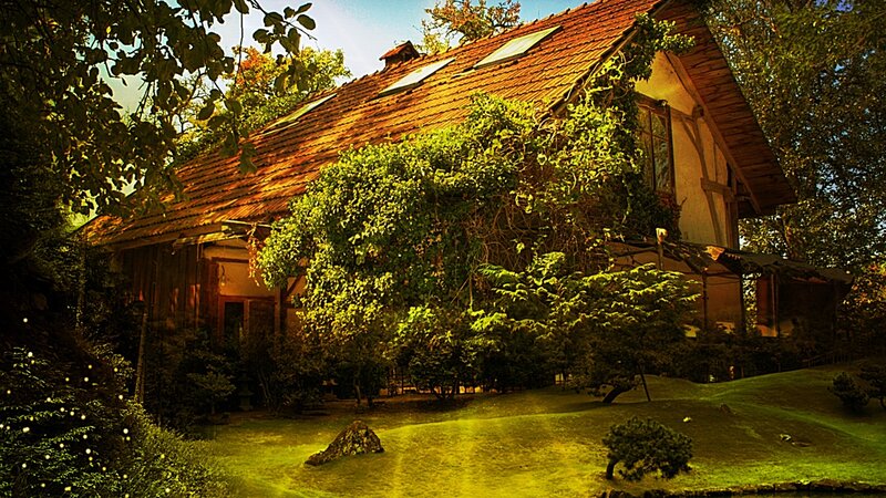 Cottage Covered in Ivy — Green, Serene, Afternoon, Photograph