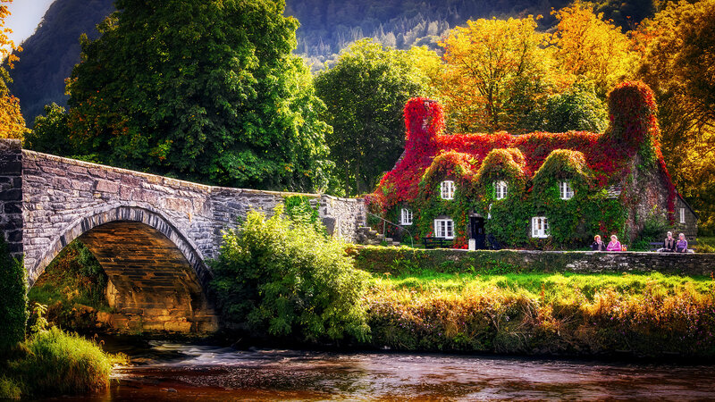 Cottage Covered in Ivy — Green, Serene, Autumn, Photograph