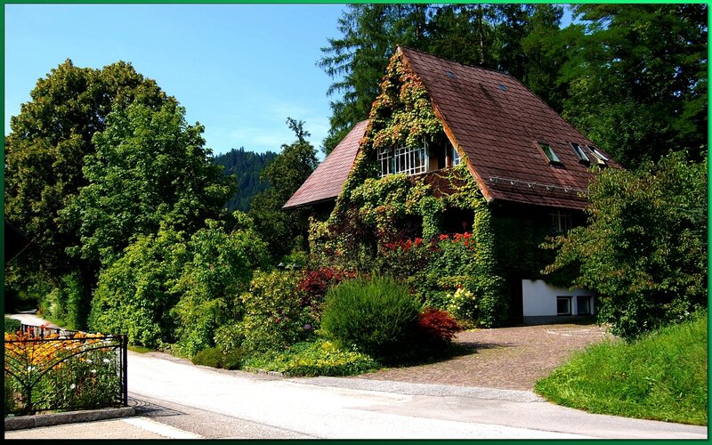 Cottage Covered in Ivy — Green, Serene