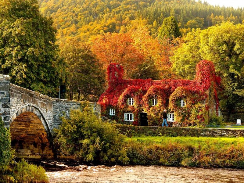 Cottage Covered in Ivy — Red, Serene, Autumn, Photograph, Stone Bridge