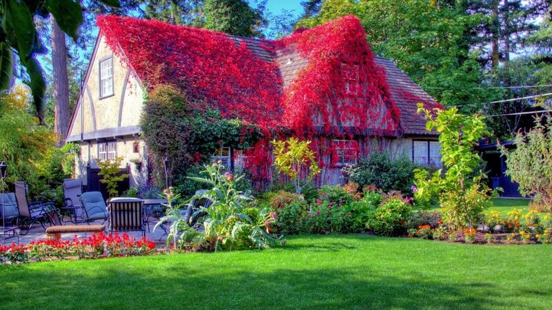 Cottage Covered in Red Ivy — Green