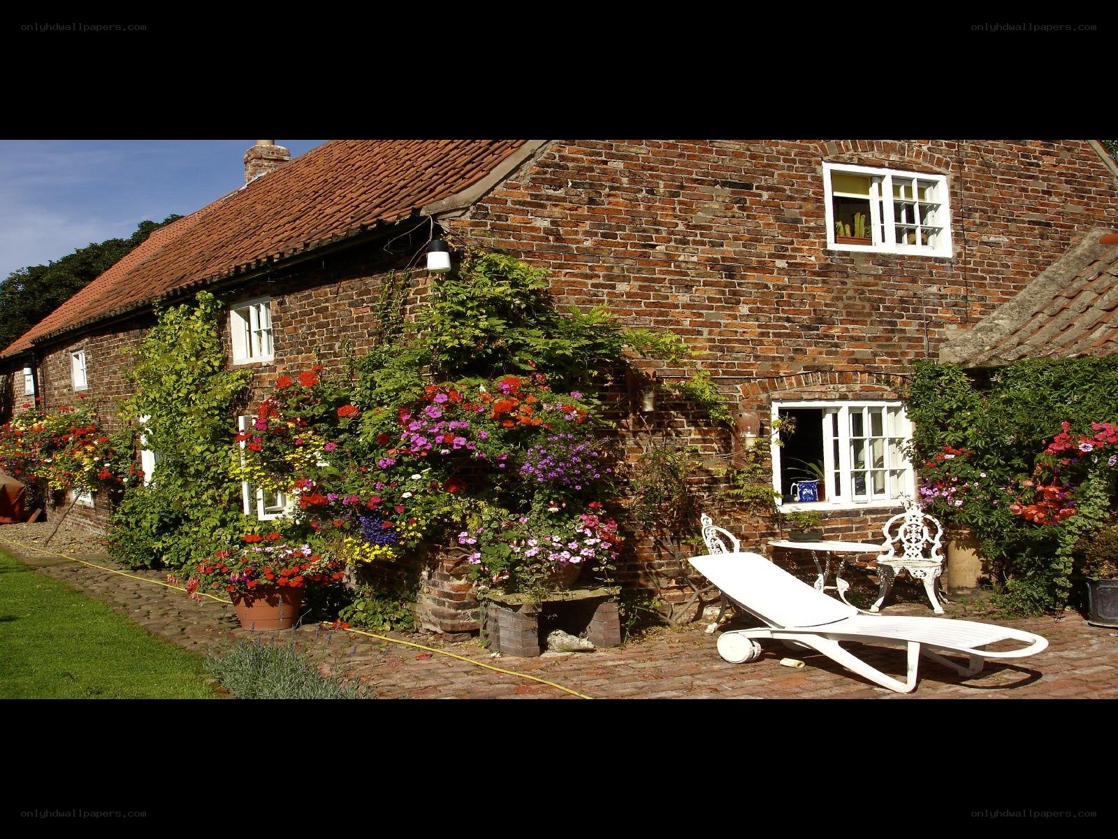 Cottage garden with flowers