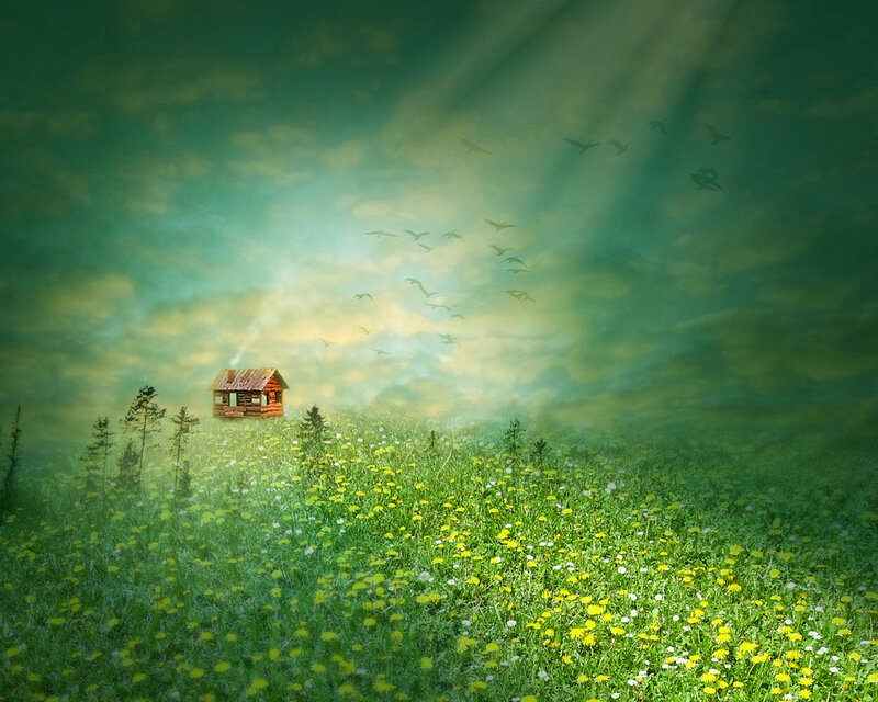 Cottage in a dreamy meadow