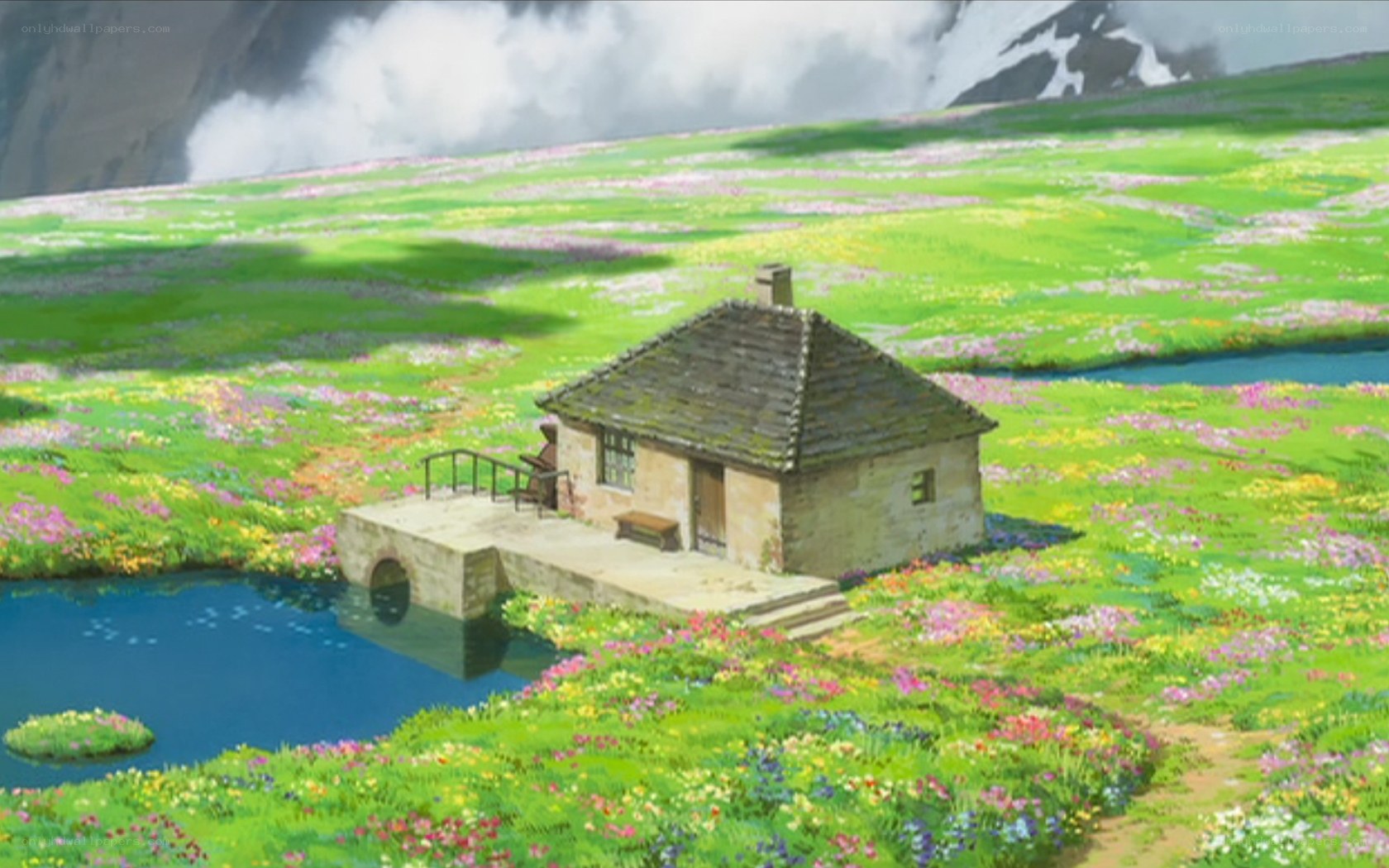 Cottage in a flower field