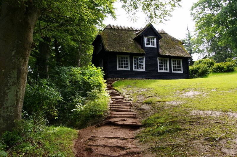 Cottage in a forest