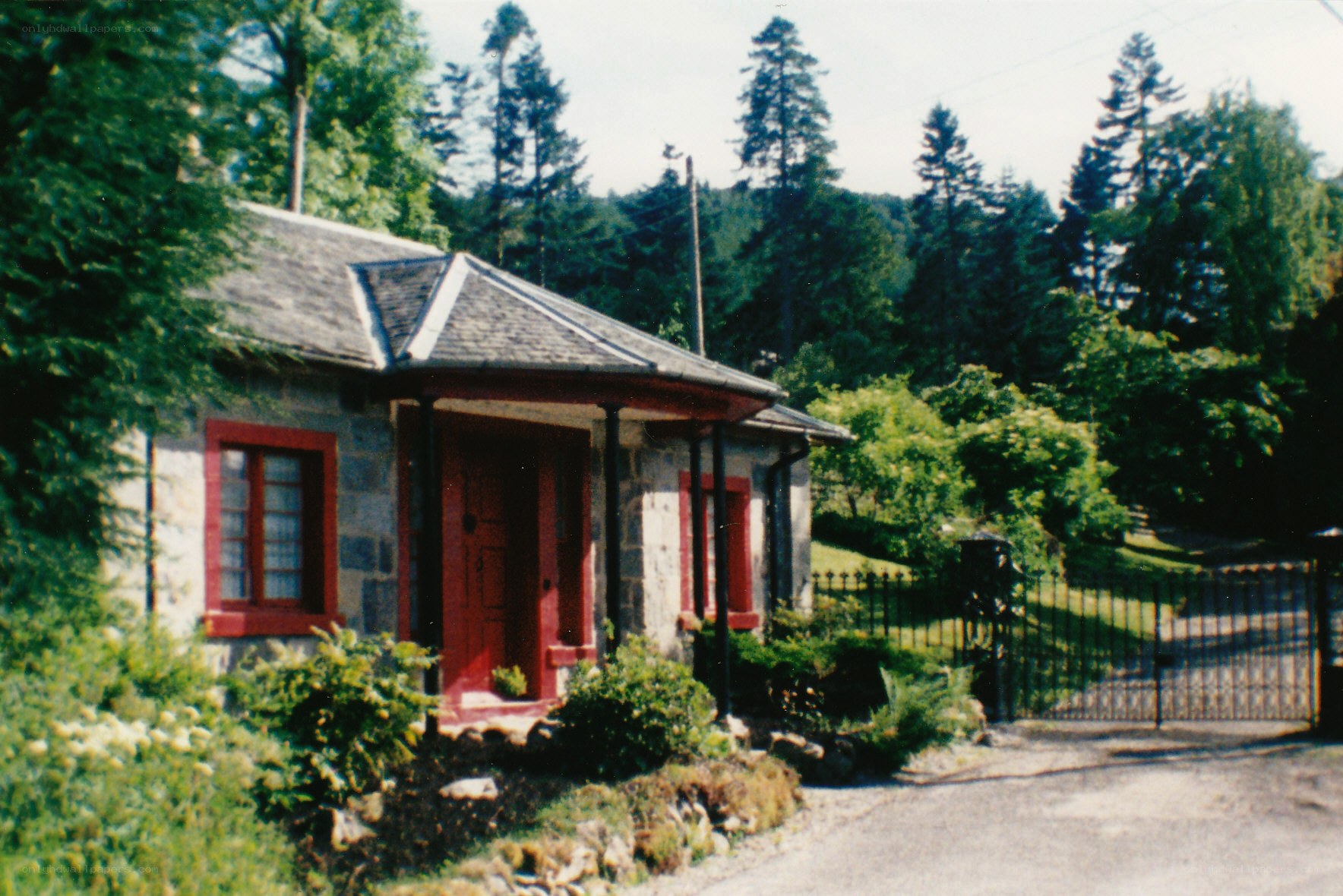 cottage in a forested area