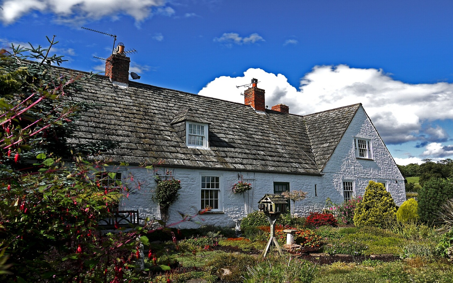 Cottage in a garden