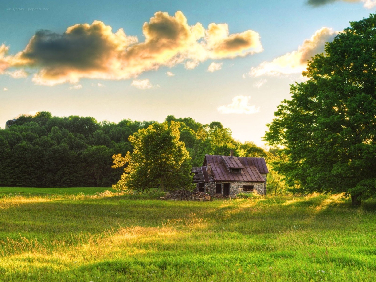 Cottage in a green field