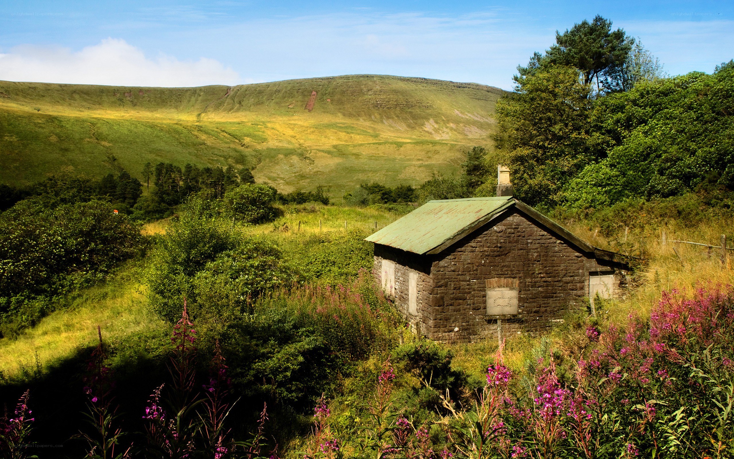 Cottage in a green valley