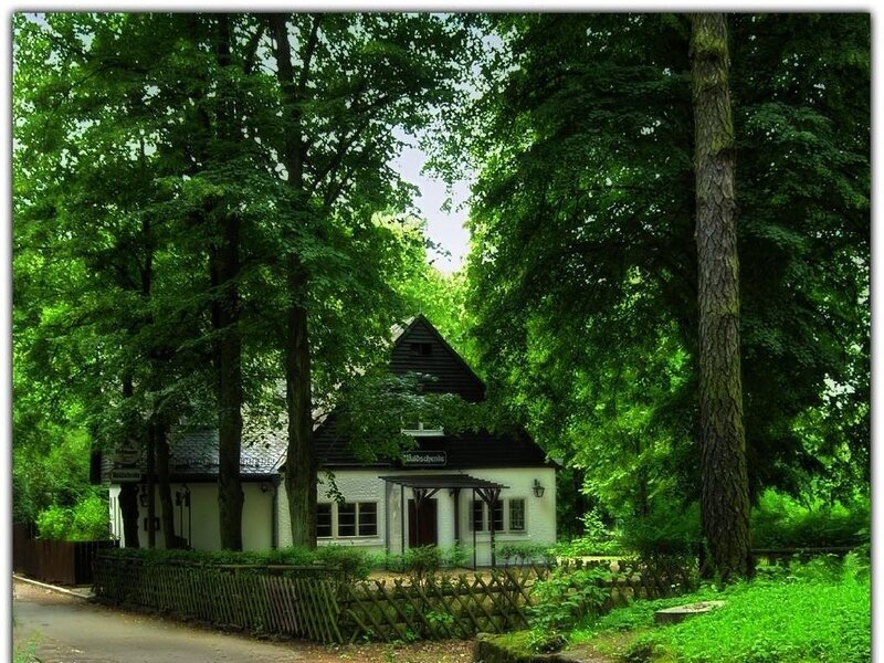 Cottage in a lush forest