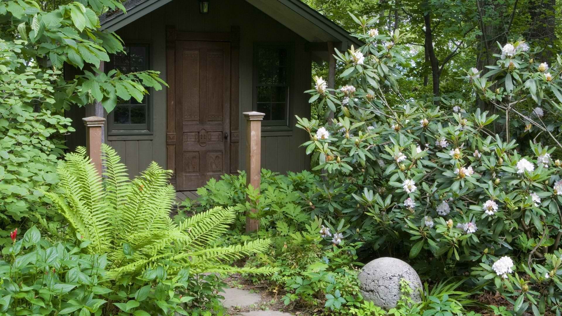 cottage in a lush garden