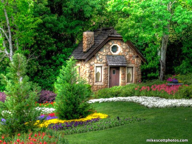 Cottage in a lush garden