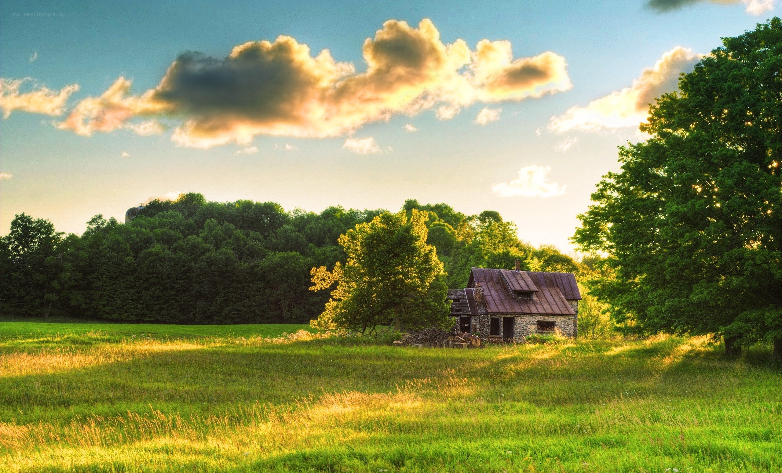 Cottage in a sunlit field