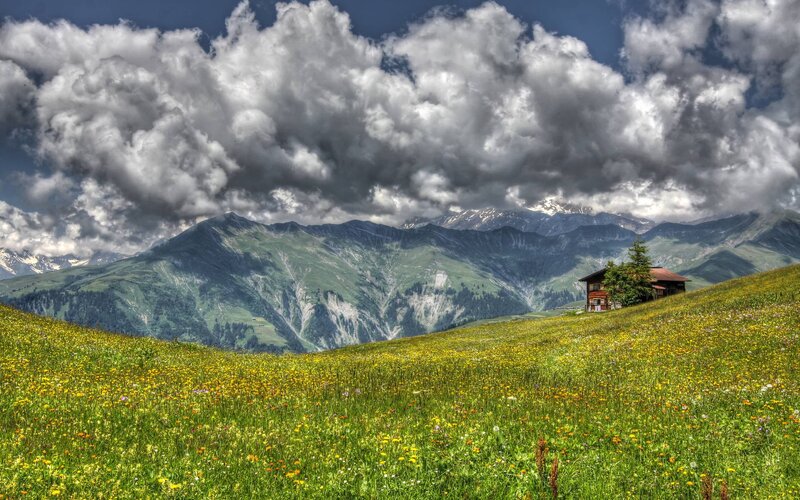 Cottage in Alpine Meadow — Green