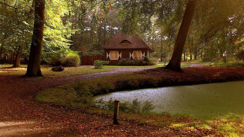 Cottage in autumn forest