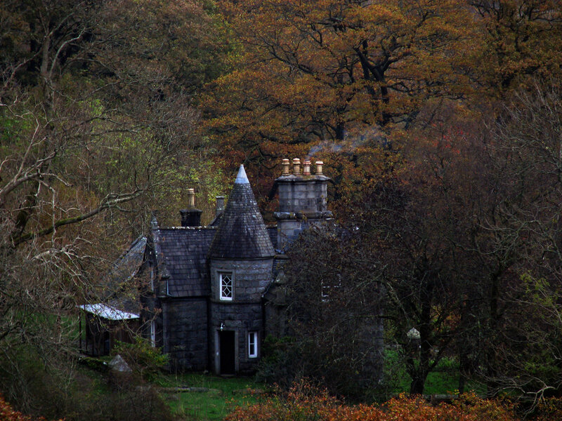 Cottage in autumn forest