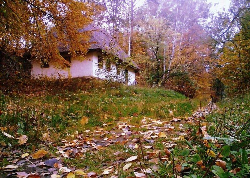 Cottage in Autumn Forest — Green