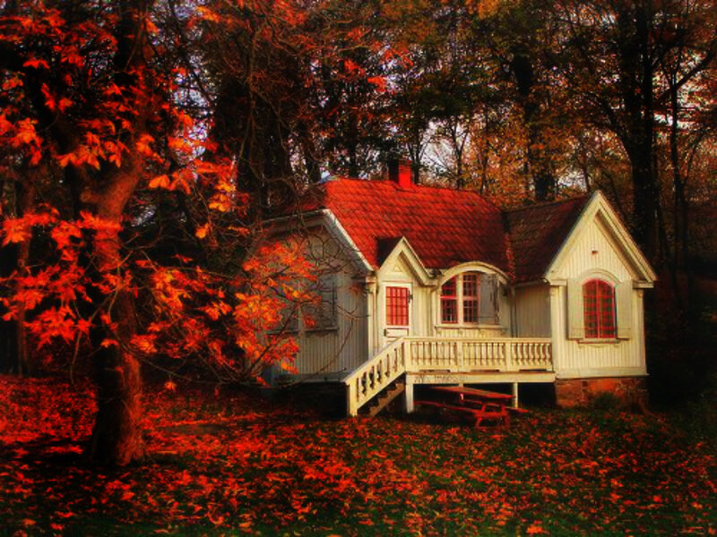 Cottage in Autumn Forest — Red, Serene, Photograph