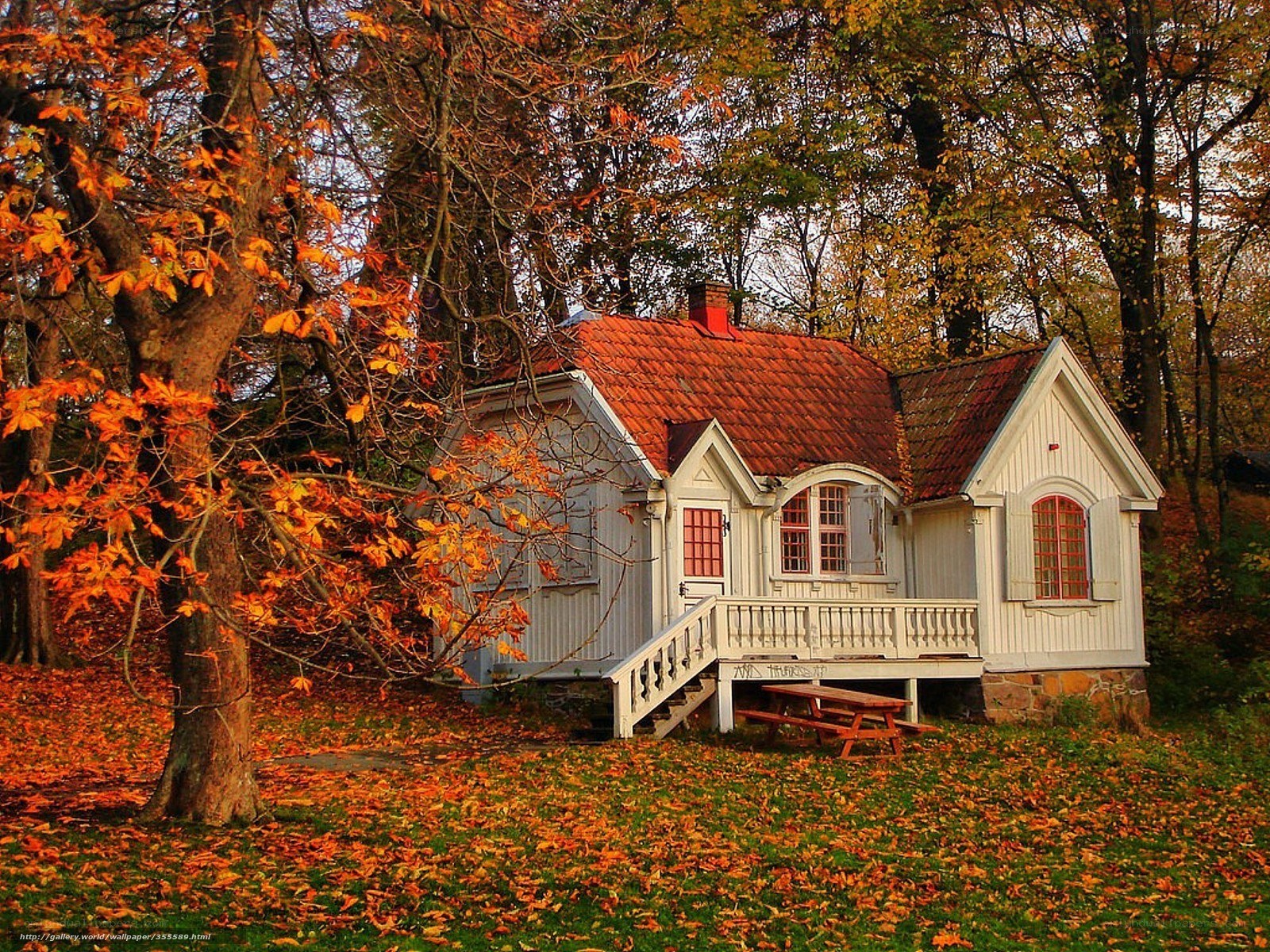 Cottage in autumn forest