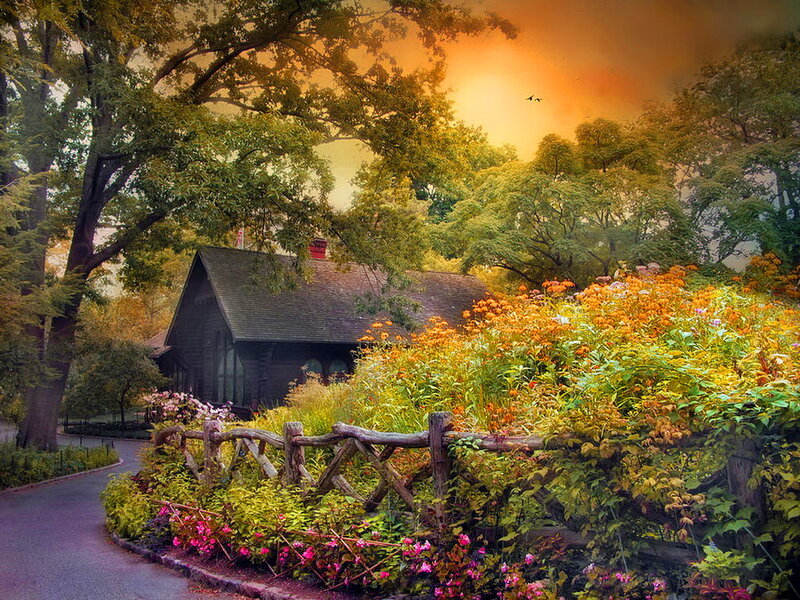 Cottage in Autumn Garden — Orange, Serene