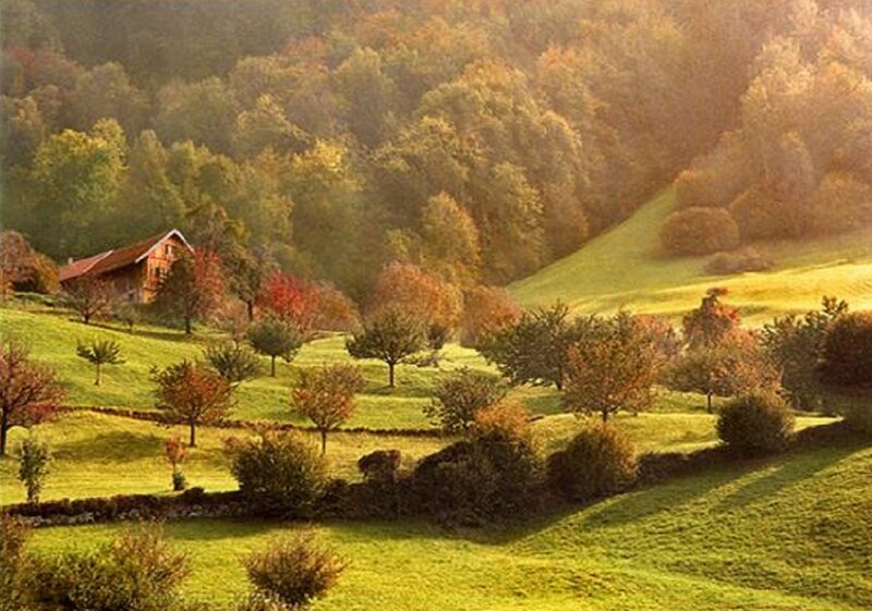 Cottage in Autumn Valley — Green, Serene, Photograph