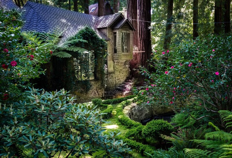 Cottage in Forest Garden — Green