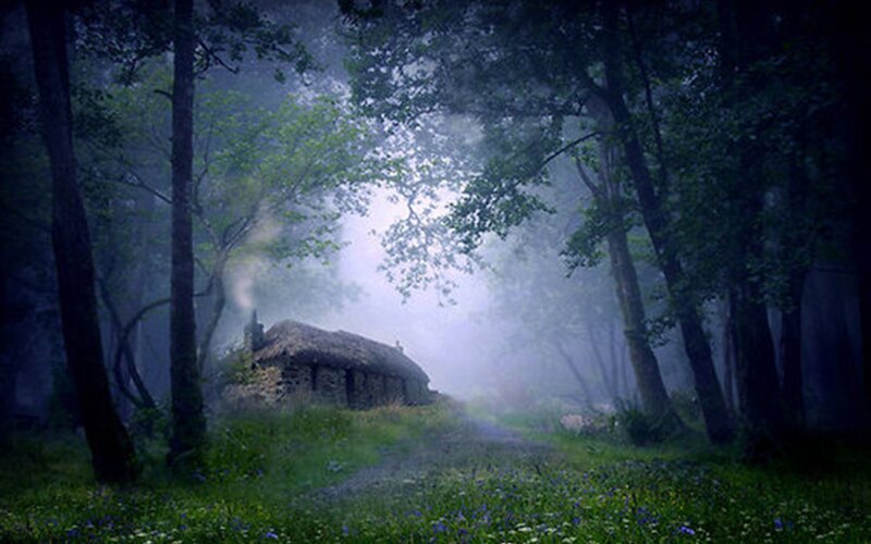 Cottage in Forest — Green, Misty