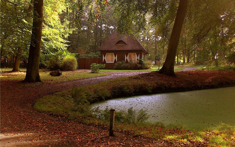 Cottage in Forest — Green, Serene, Autumn