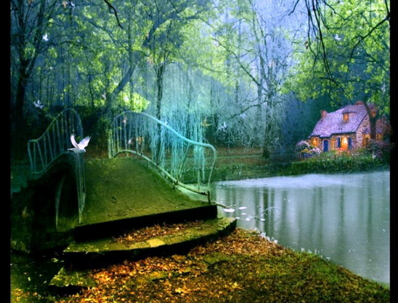 Cottage in Forest — Green, Serene, Morning