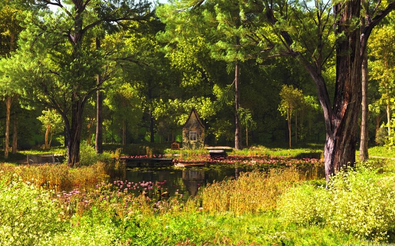 Cottage in Forest Pond