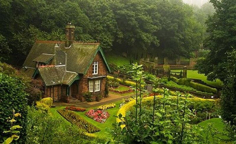 Cottage in Garden — Green, Serene, Morning, Photograph