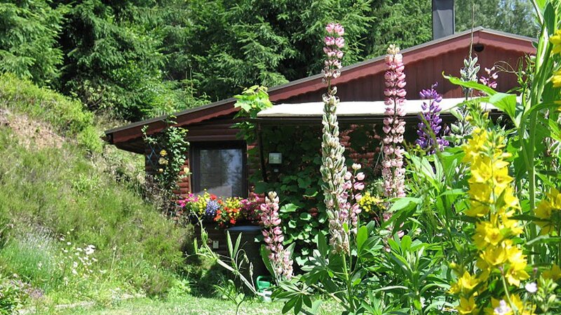 Cottage in Garden — Green, Serene, Summer