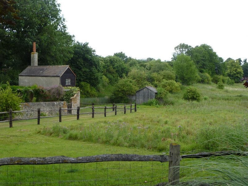 Cottage in Green Field — Serene
