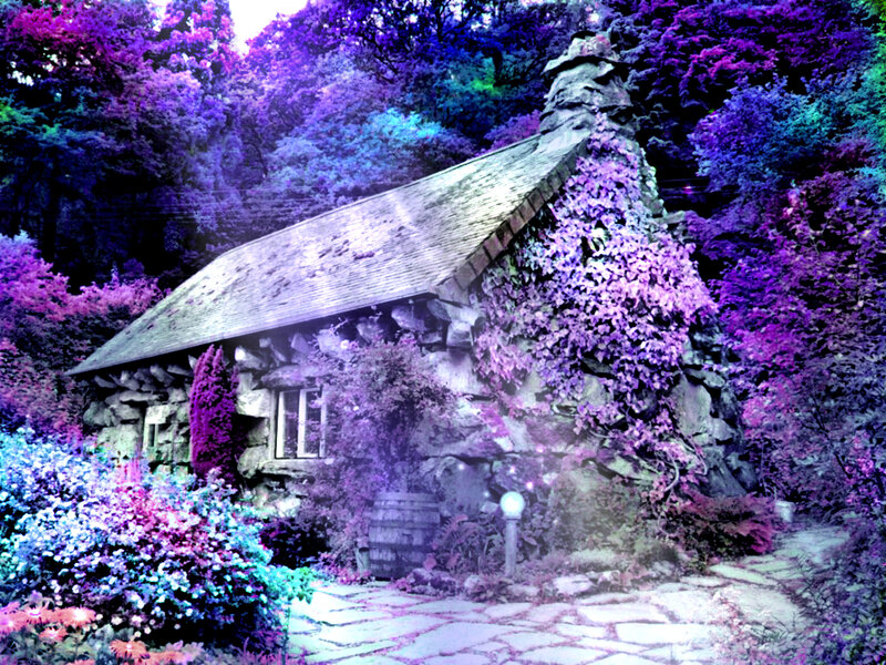 cottage in purple forest
