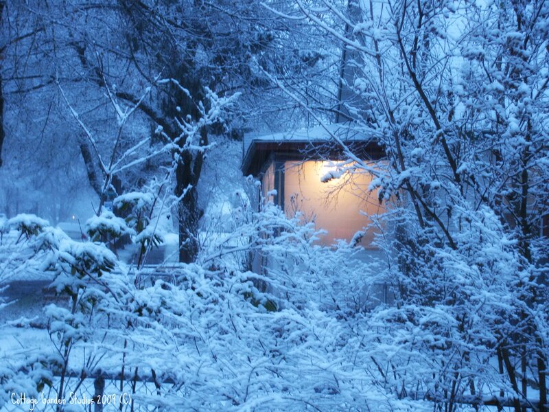 Cottage in Snow — Blue