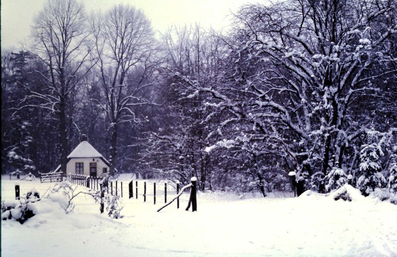 Cottage in Snow